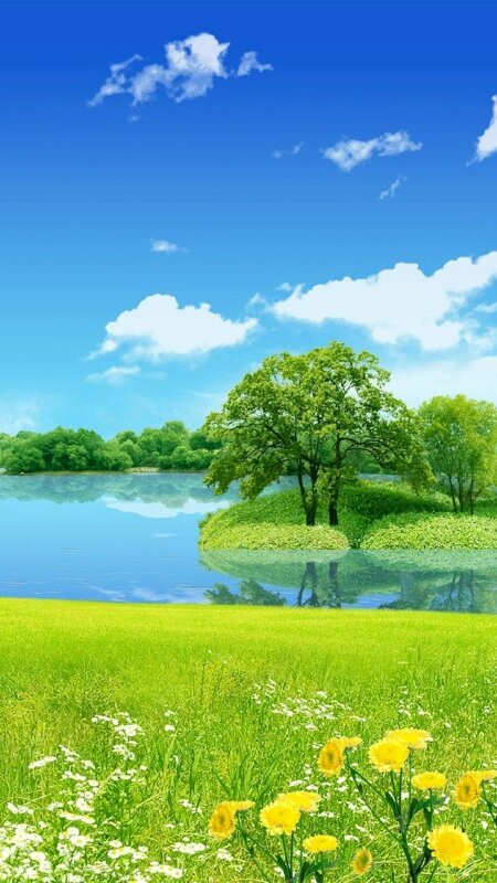 Hướng dẫn chi tiết cách lựa chọn và sử dụng hình nền điện thoại phong thủy cho mệnh Mộc