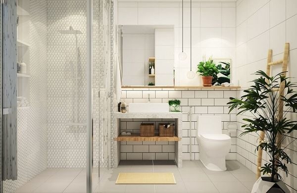 Tác dụng của cây trồng trong nhà vệ sinh