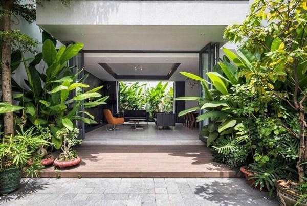 Những điều kiêng kỵ khi trồng cây