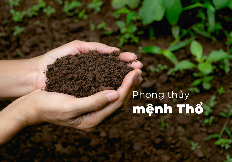 Đặc điểm, tính chất và ý nghĩa của hành Thổ