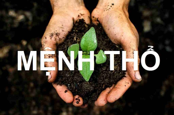 Người mang mệnh Thổ thường có tính cách ổn định