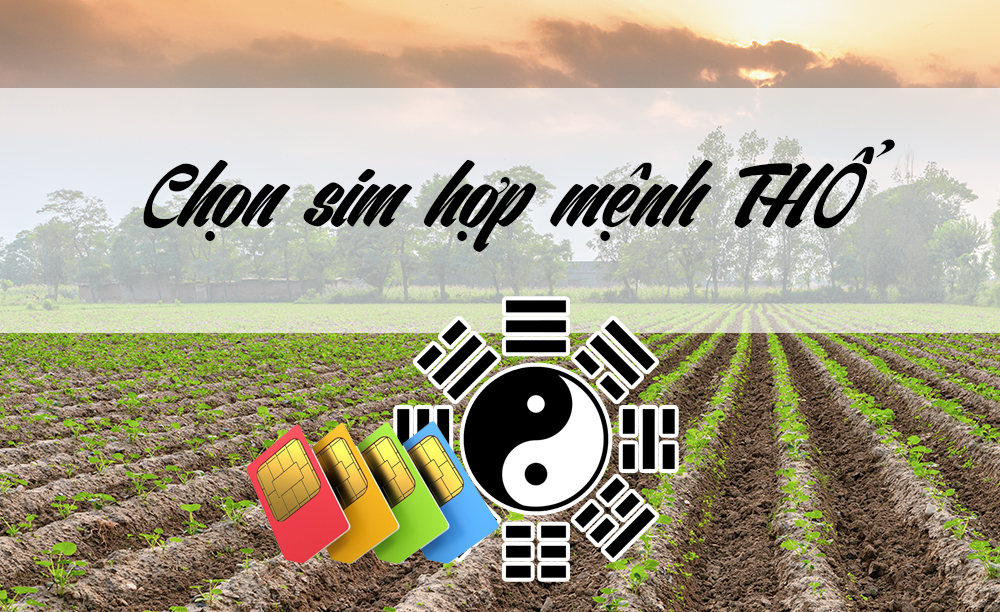 Tổng quan về sim hợp mệnh Thổ