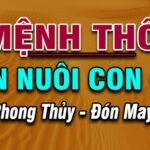 Mệnh thổ nên nuôi con gì để mang lại may mắn và tài lộc?