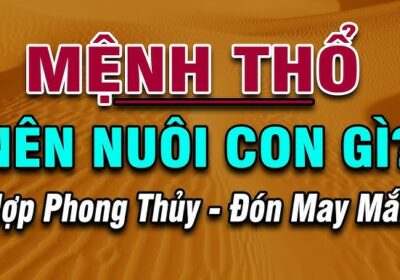 Mệnh thổ nên nuôi con gì để mang lại may mắn và tài lộc?