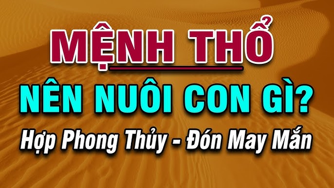 Mệnh thổ nên nuôi con gì để mang lại may mắn và tài lộc?