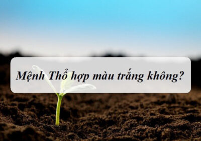 Mệnh Thổ có hợp màu trắng không?