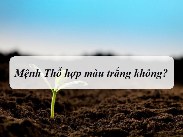 Mệnh Thổ có hợp màu trắng không?