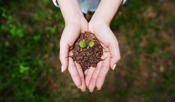 Mệnh Thổ đại diện cho đất đai, sự ổn định và nguồn cội