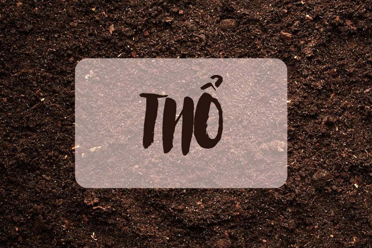 Làm thế nào để có thể điều hòa hành Thổ trong cuộc sống?