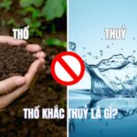 Sự khắc chế giữa Thổ và Thủy