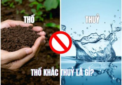 Sự khắc chế giữa Thổ và Thủy