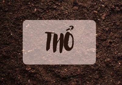 Mệnh Thổ không chỉ đơn thuần là đất mà còn tượng trưng cho sự bền vững