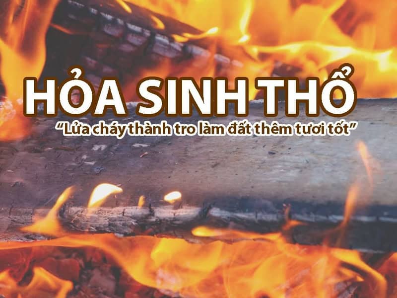Nguyên lý Hỏa sinh Thổ và ứng dụng vào ví tiền