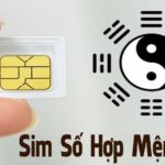 Sim hợp mệnh Thổ - Lựa chọn sim phong thủy mang lại may mắn