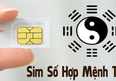 Sim hợp mệnh Thổ - Lựa chọn sim phong thủy mang lại may mắn