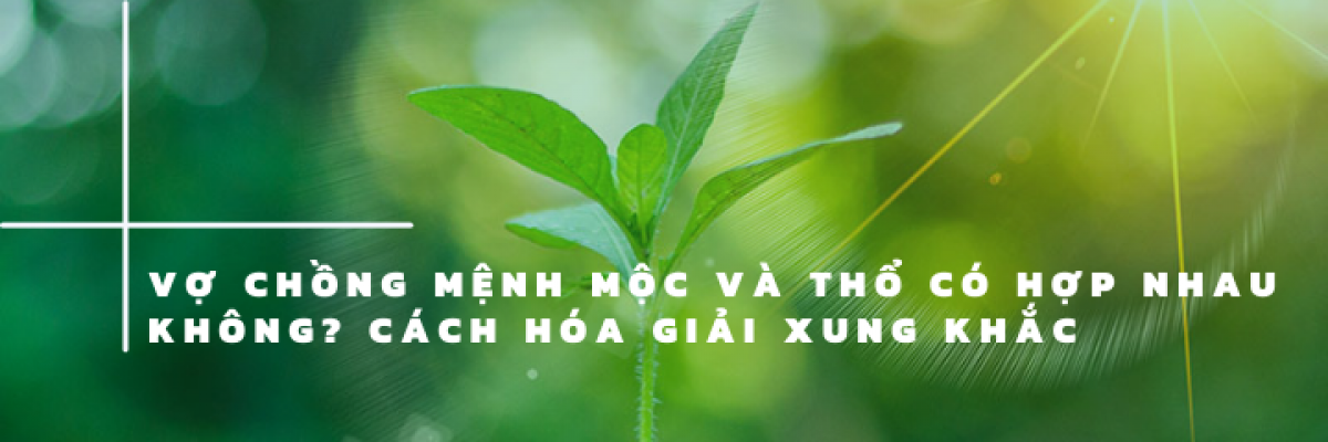 Mệnh Thổ và mệnh Mộc có hợp nhau không? Cách hóa giải xung khắc hiệu quả