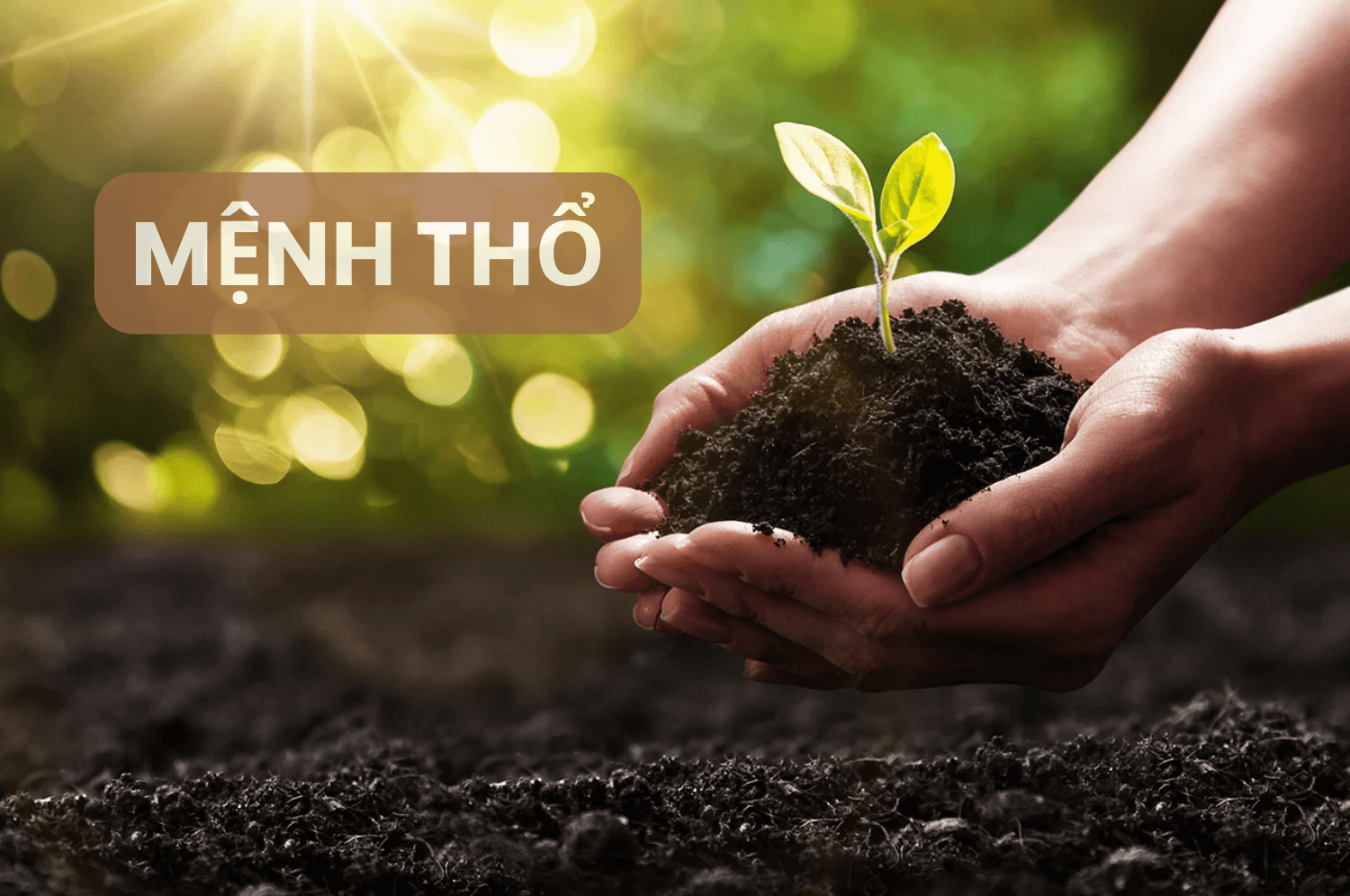 Tổng quan về mệnh Thổ